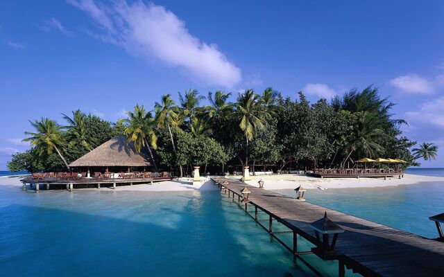 Обои 2025-12-30 №78451