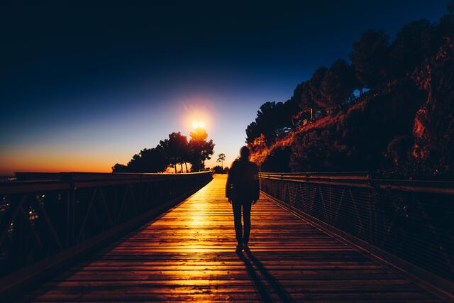 Обои 2025-12-30 №78487