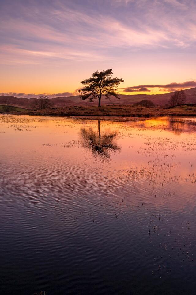 Обои 2025-12-30 №78500