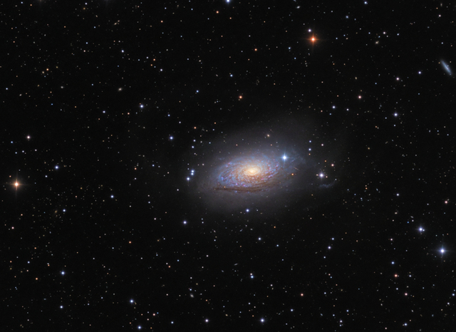 Обои 2025-12-31 №78523