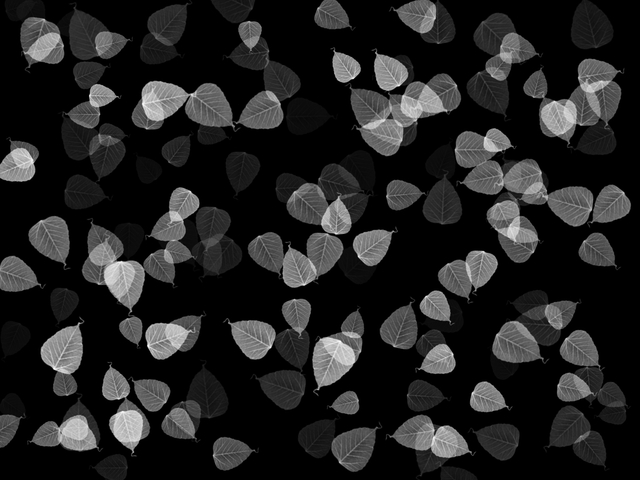 Обои 2025-12-31 №78538