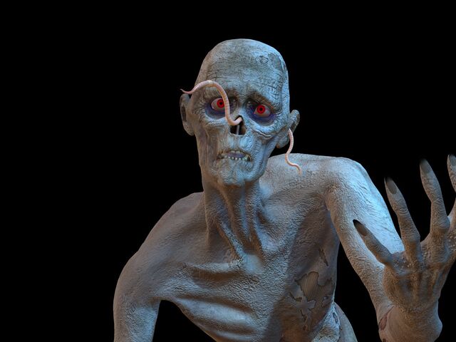 Обои 2026-01-01 №78625