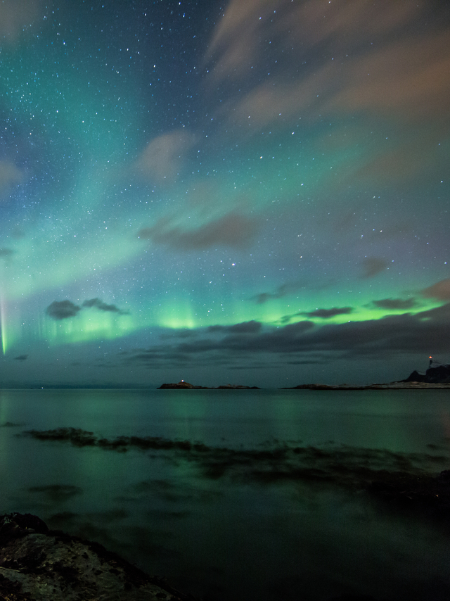 Обои 2026-01-01 №78626