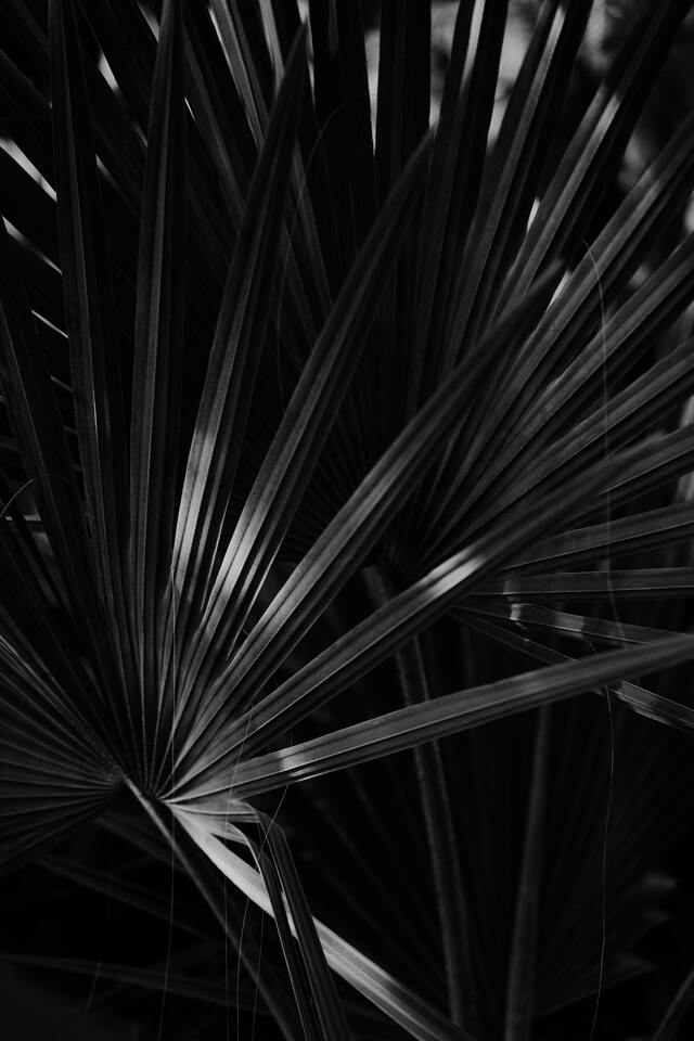 Обои 2026-01-01 №78631