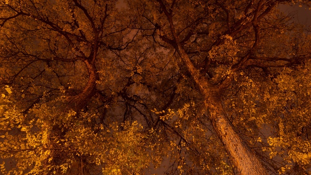 Обои 2026-01-01 №78636