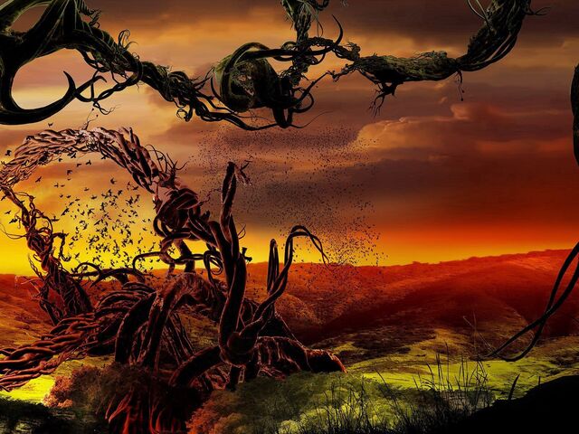 Обои 2026-01-01 №78641