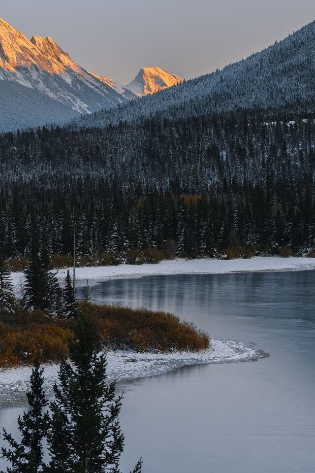 Обои 2026-01-02 №78675