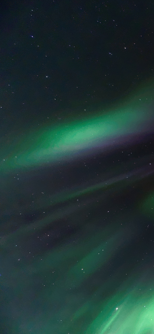 Обои 2026-01-02 №78700