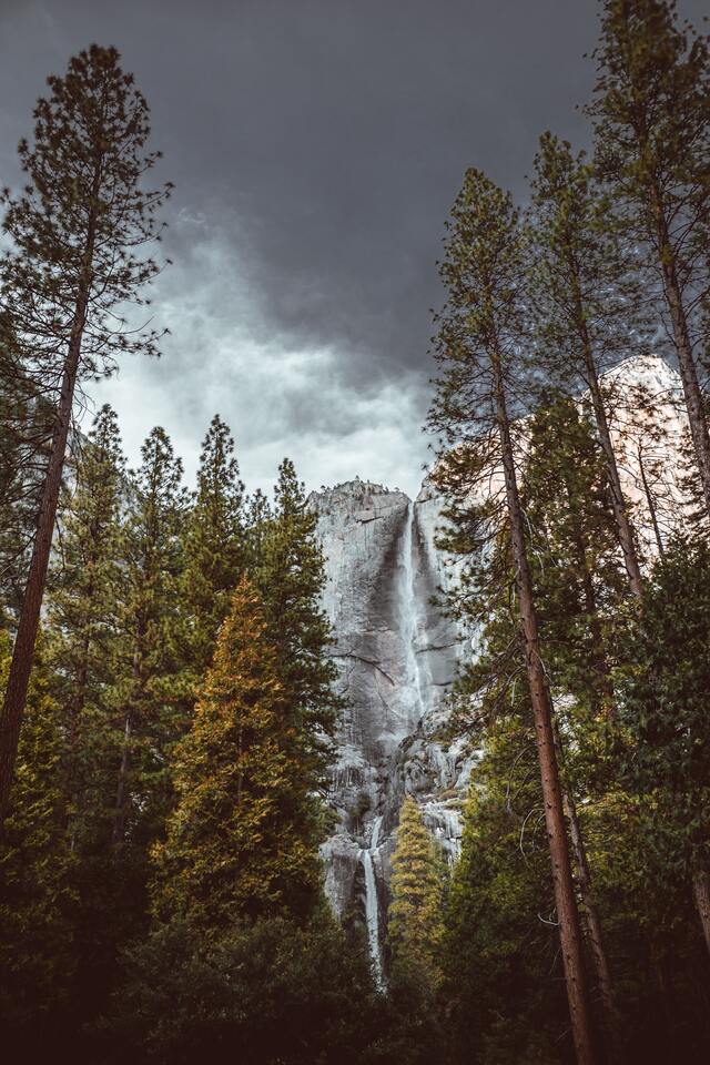 Обои 2026-01-02 №78707