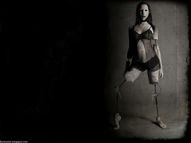 Обои 2026-01-02 №78725