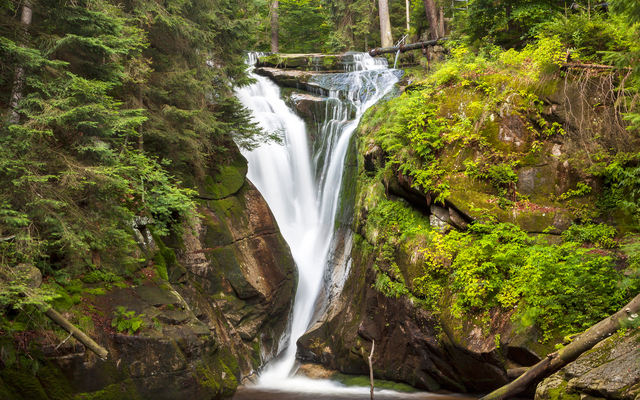 Обои 2026-01-02 №78722