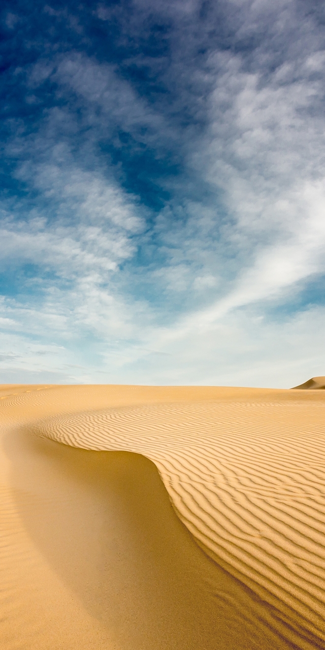 Обои 2026-01-02 №78721