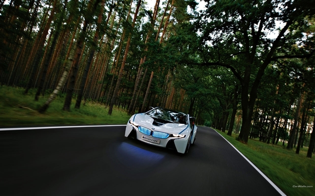 Обои 2026-01-03 №78748