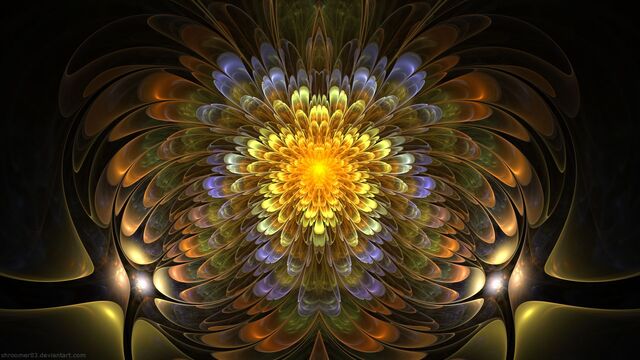 Обои 2026-01-03 №78774