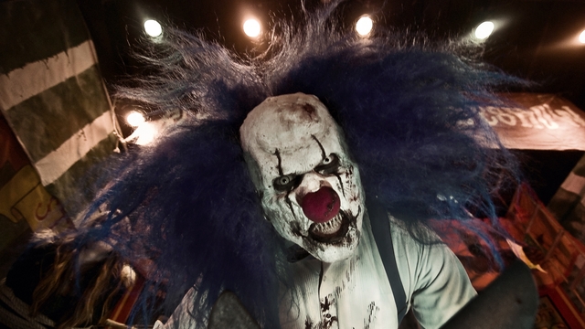 Обои 2026-01-04 №78833