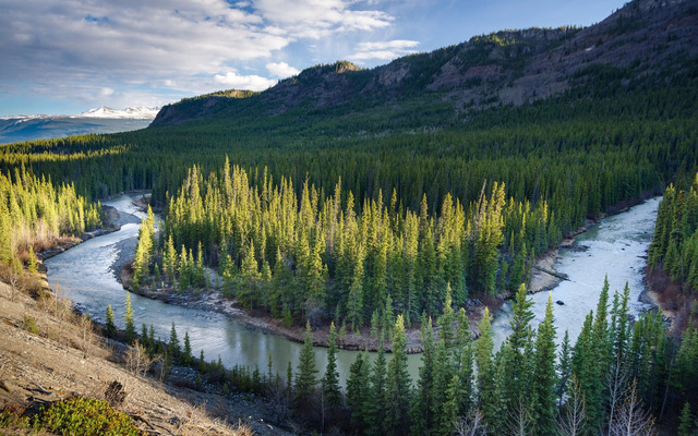 Обои 2026-01-04 №78839