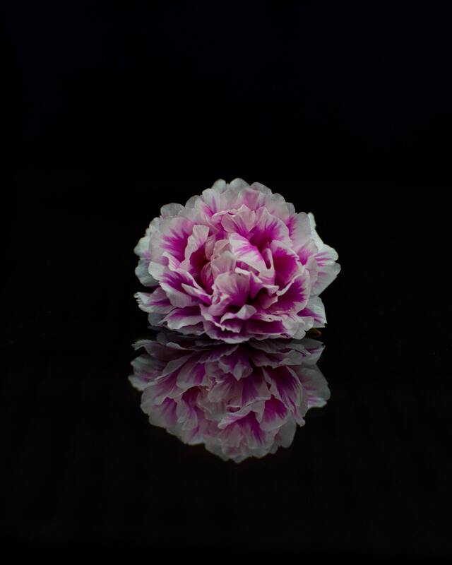 Обои 2026-01-04 №78850