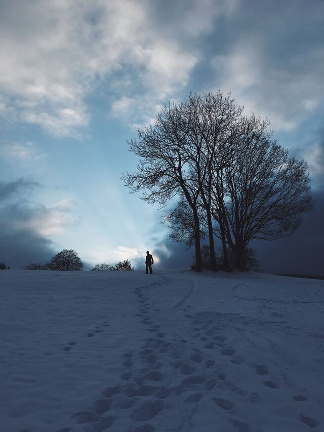 Обои 2026-01-04 №78867