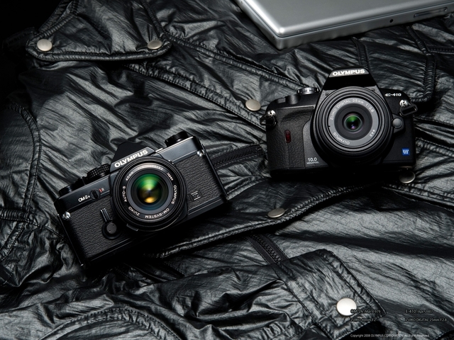 Обои 2026-01-04 №78862