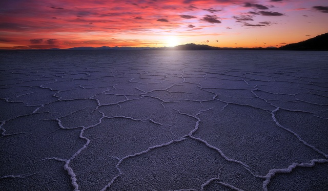 Обои 2026-01-05 №78879