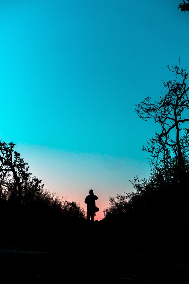 Обои 2026-01-05 №78886