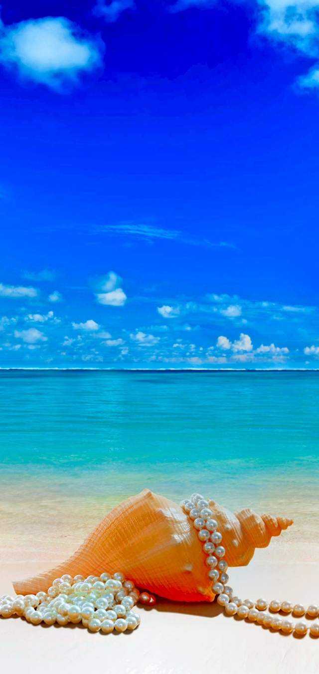 Обои 2026-01-05 №78888