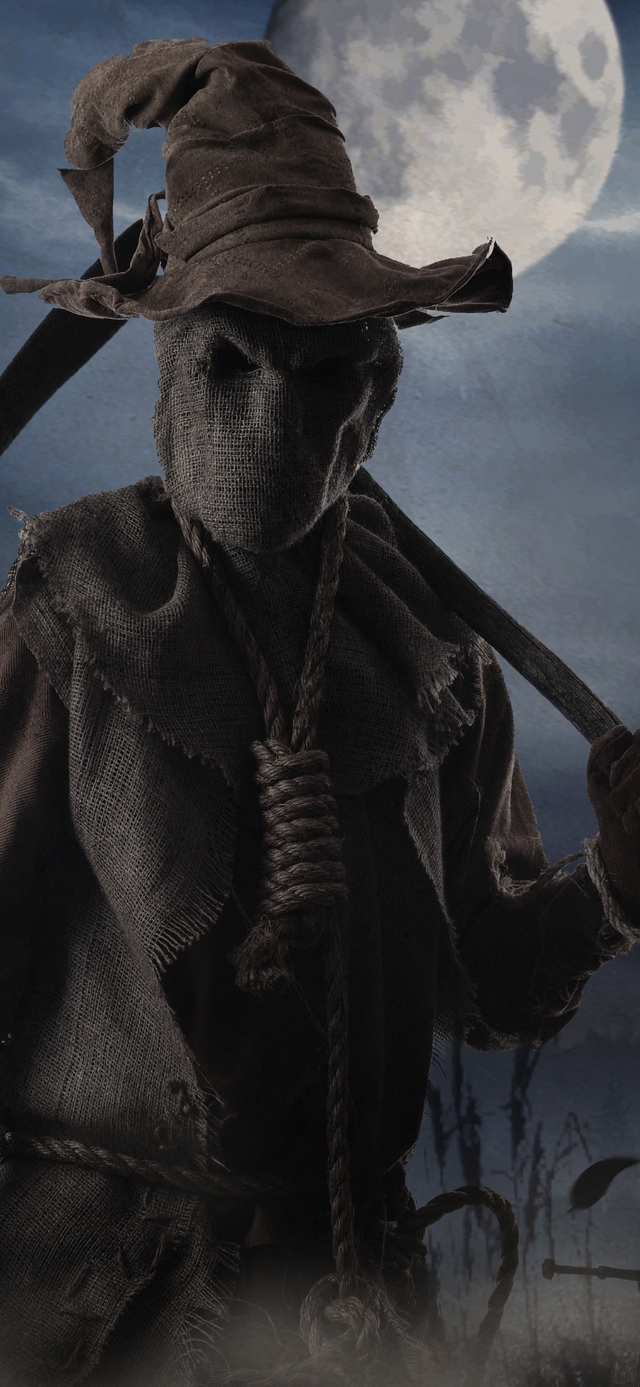 Обои 2026-01-05 №78925