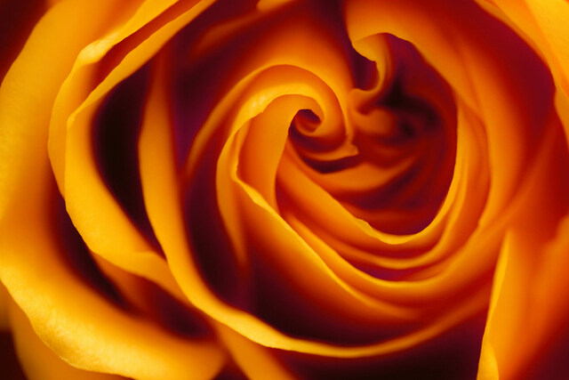 Обои 2026-01-05 №78934