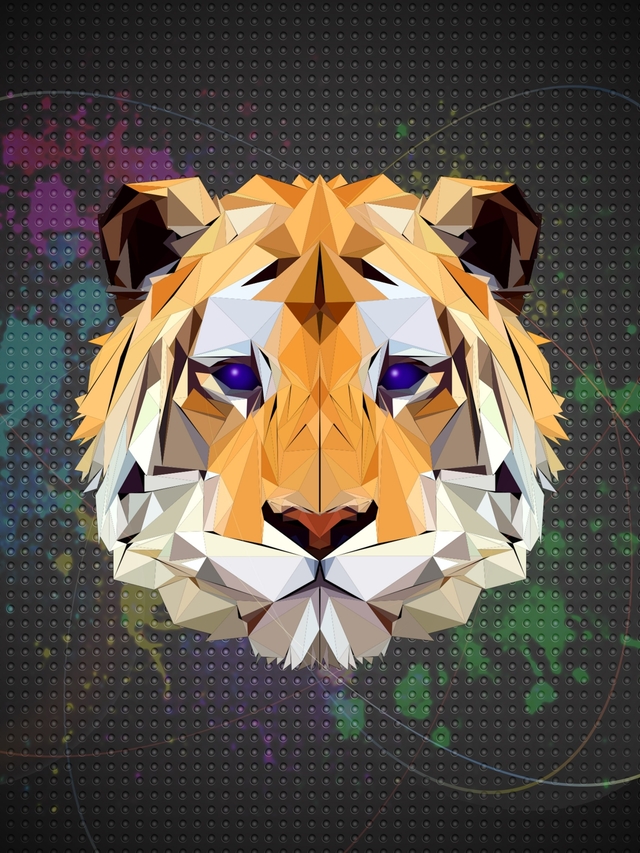 Обои 2026-01-06 №78946