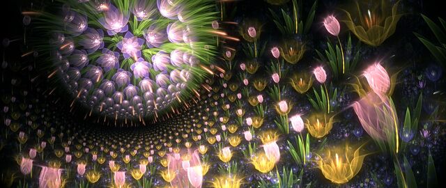 Обои 2026-01-06 №78962