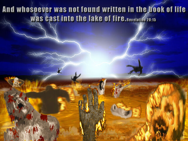 Обои 2026-01-06 №79009