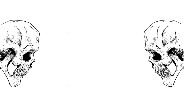 Обои 2026-01-07 №79027