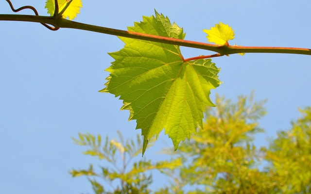 Обои 2026-01-07 №79016