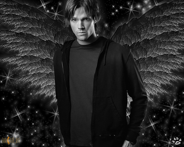 Обои 2026-01-07 №79035