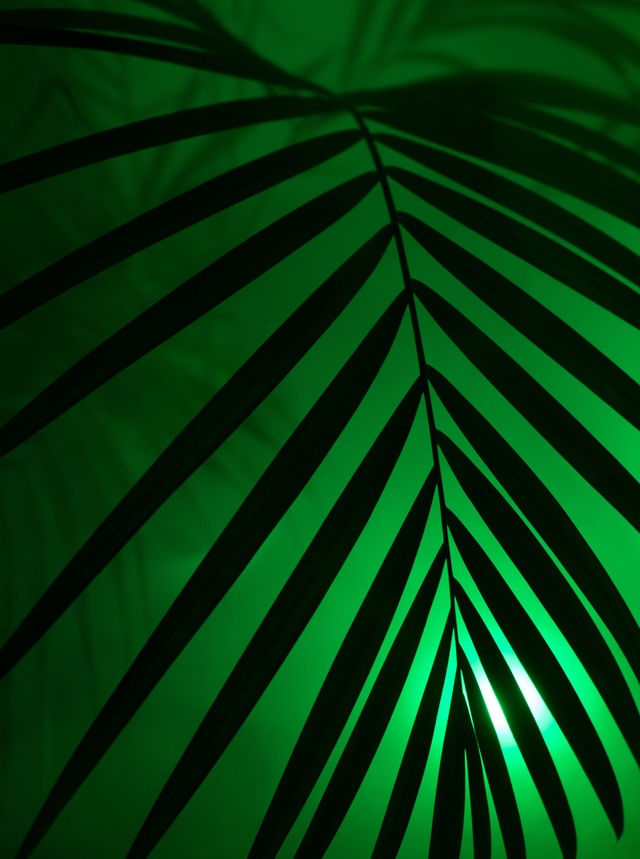 Обои 2026-01-07 №79050