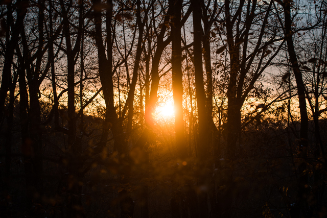 Обои 2026-01-07 №79057