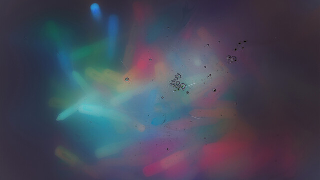 Обои 2026-01-08 №79097