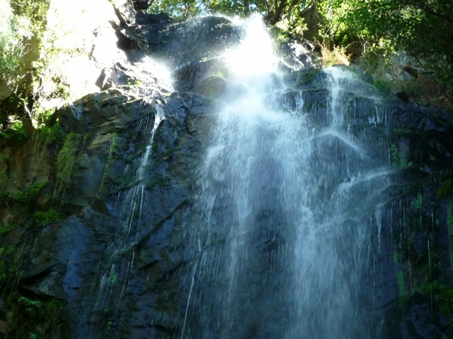 Обои 2026-01-08 №79090