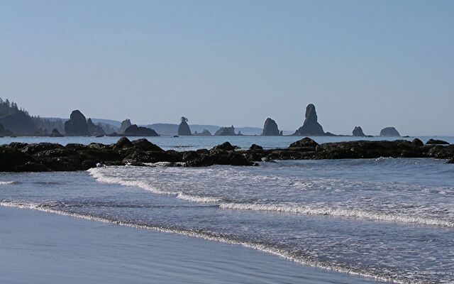 Обои 2026-01-08 №79102