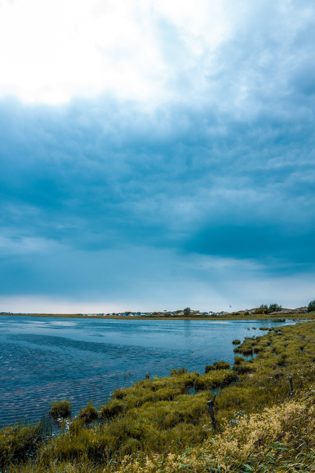 Обои 2026-01-08 №79156