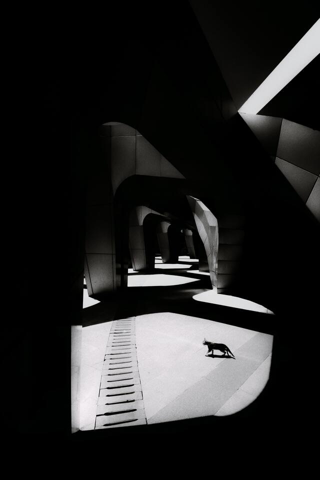 Обои 2026-01-09 №79175