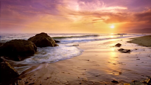 Обои 2026-01-09 №79181