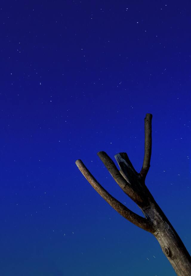 Обои 2026-01-09 №79207