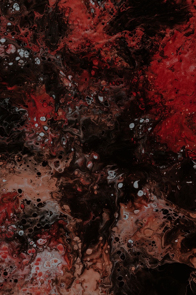 Обои 2026-01-09 №79219