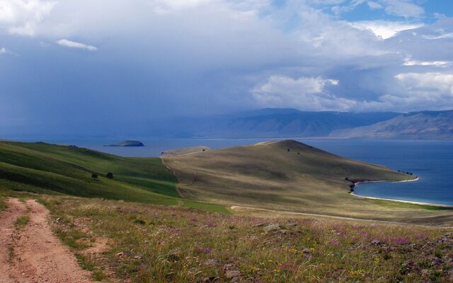 Обои 2026-01-09 №79216