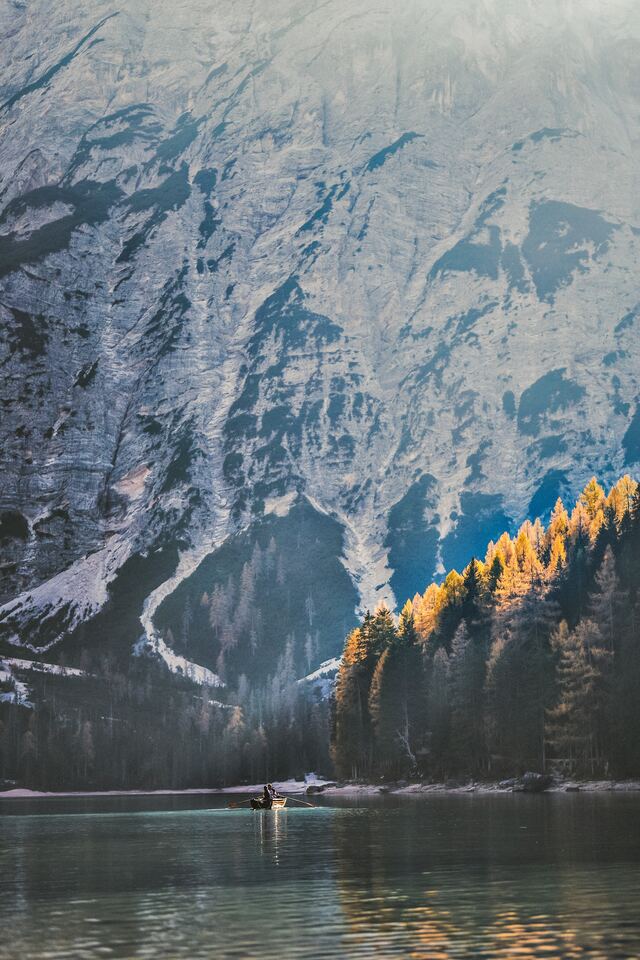 Обои 2026-01-09 №79240