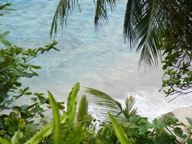 Обои 2026-01-10 №79250