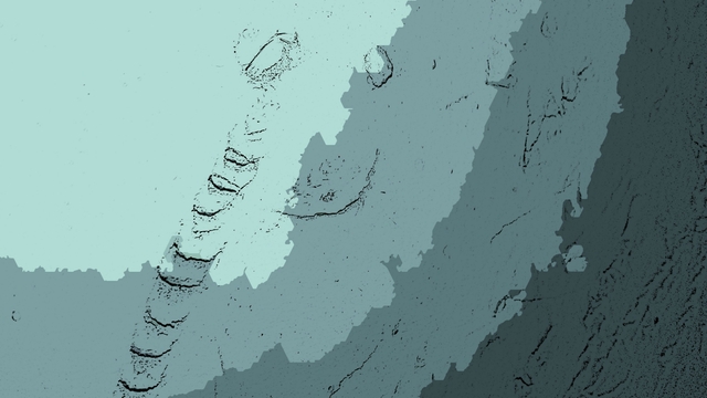 Обои 2026-01-10 №79267