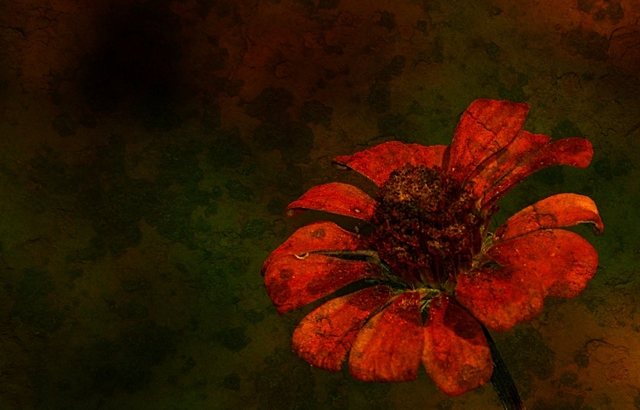 Обои 2026-01-10 №79287