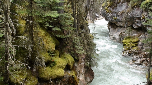 Обои 2026-01-10 №79307